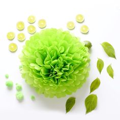 گل کاغذی سبز روشن (سبز سیب ترش)  Apple Green (پام پام-POM POM) - قطر 30 سانت  