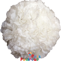 توپ گل میخک برای دکوراسیون - سفید - قطر 20 سانت